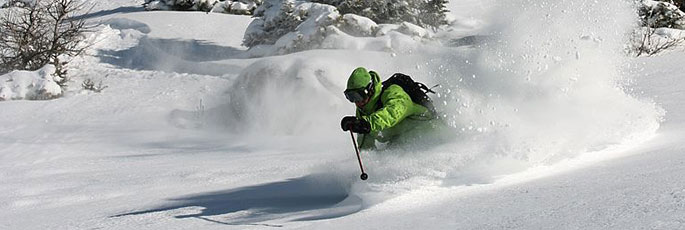 Offpiste_Ski_685x230_02_W14