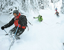Skiers skiing deep powder in the trees