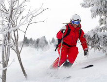 Off piste skier skiing in the trees